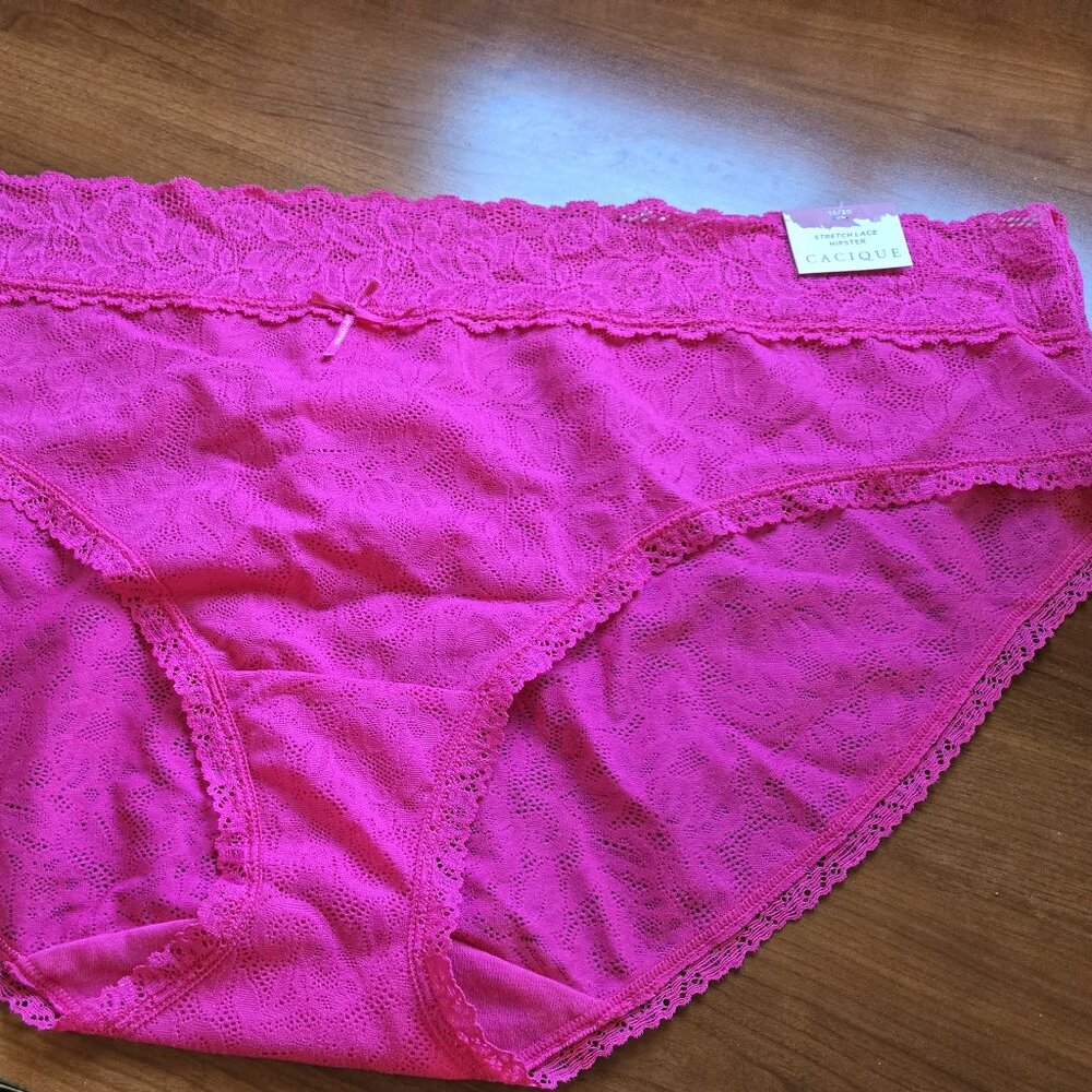 Cacique Stretch Lace Hipster Panty NWT Size 18/20